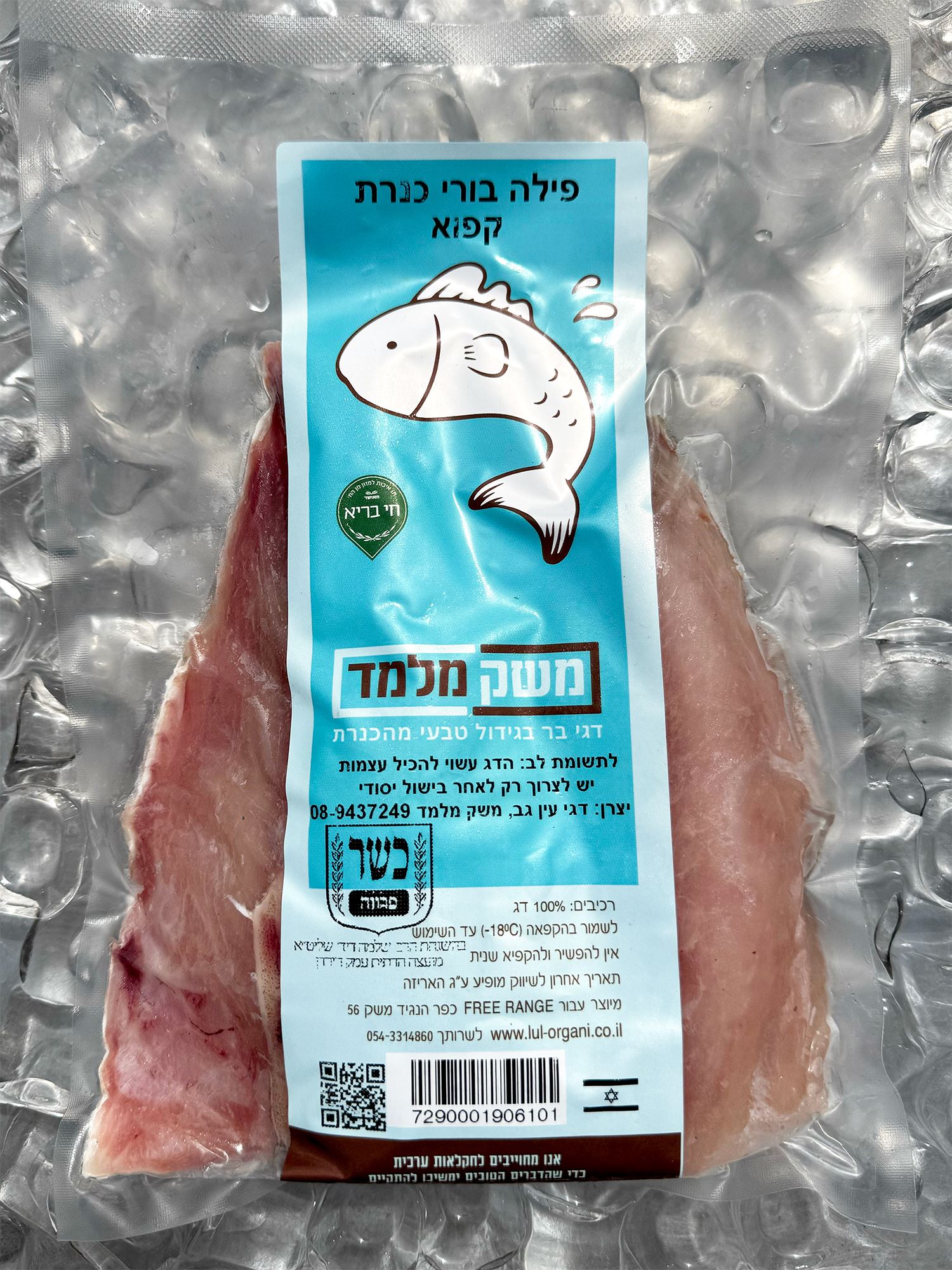 פילה בורי כנרת מלמד